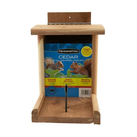 Feeds squirrels, racoons, geese, ducks and other wildlife. . Squirrel feeder walmart